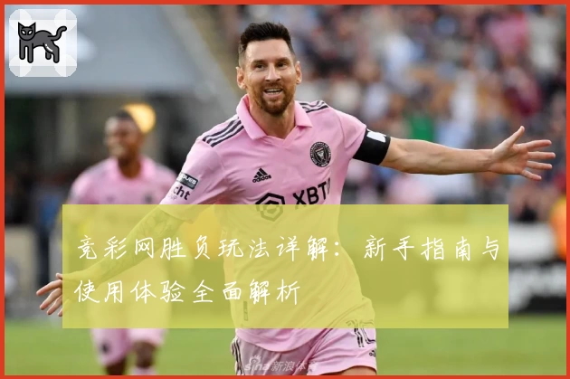 竞彩网胜负玩法详解：新手指南与使用体验全面解析