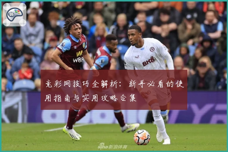 竞彩网技巧全解析：新手必看的使用指南与实用攻略合集