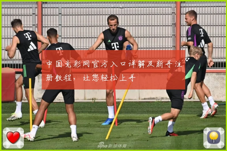 中国竞彩网官方入口详解及新手注册教程，让您轻松上手