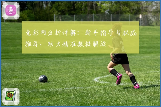 竞彩网分析详解：新手指导与权威推荐，助力精准数据解读