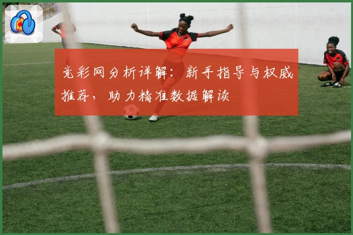 竞彩网分析详解：新手指导与权威推荐，助力精准数据解读